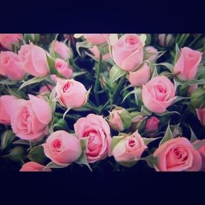 Meet your Posher, Loni